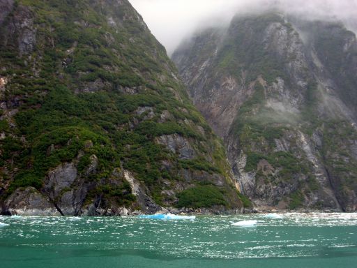 Blue Icebergs in Tracy Arm