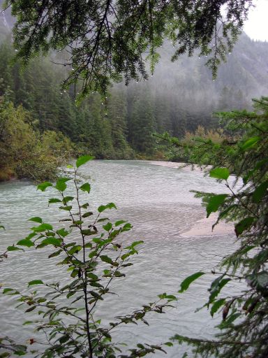 Nugget Creek