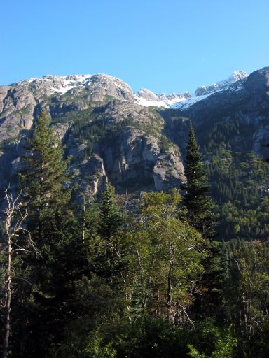 Trees and Snow-capped Mountains