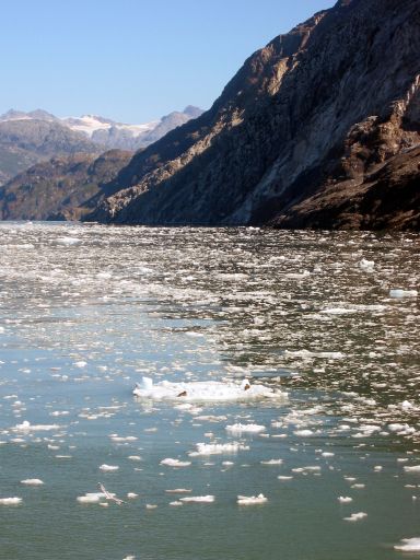 Johns Hopkins Inlet