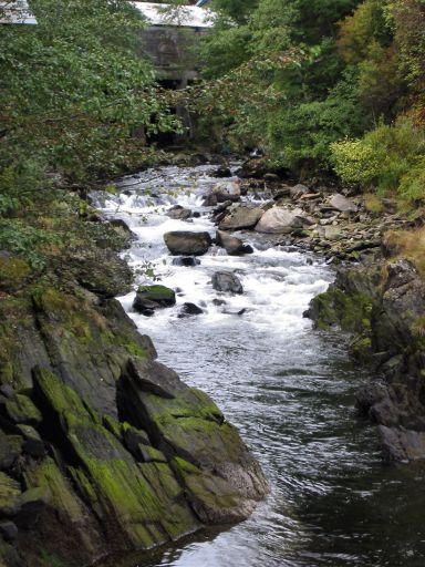Ketchikan Creek
