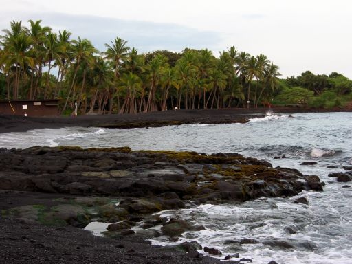 Punalu'u Black Sand Beach