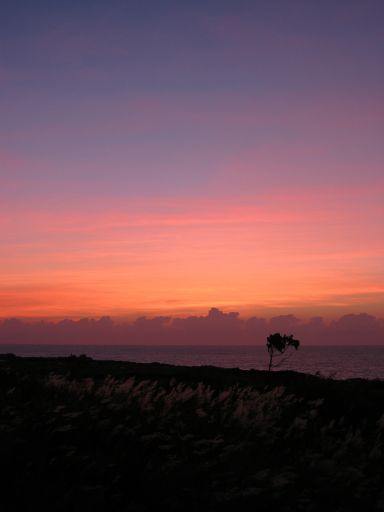 Sunrise over the lava flows at the end of Chain of Craters Road