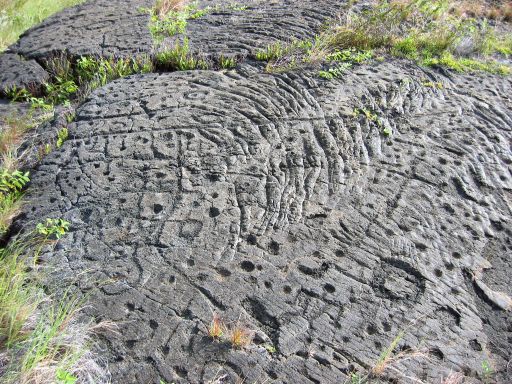 Pu'u Loa Petroglyphs