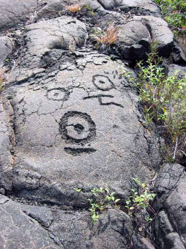 Pu'u Loa Petroglyphs