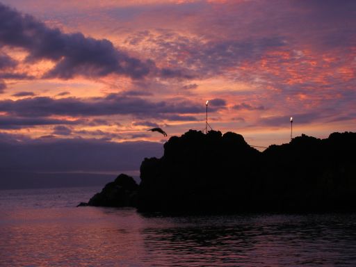 Diving from Black Rock at Sunset