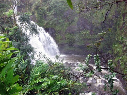 Upper Waikani Falls