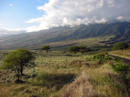 South Side of Haleakala