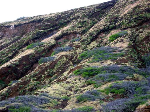 Colorful Hillside near Sandy Beach