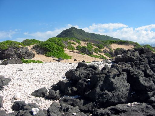 Ka'ena Point