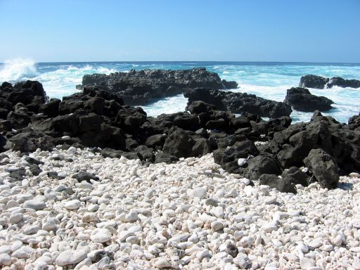 Lava and Coral at Ka'ena Point