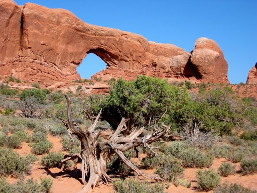 North Window