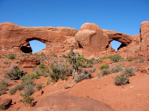 North & South Windows