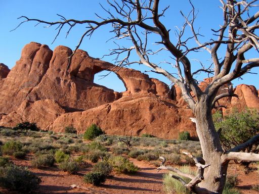 Skyline Arch