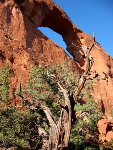 Skyline Arch