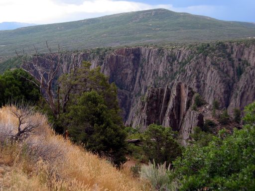 Black Canyon from Tomichi Point