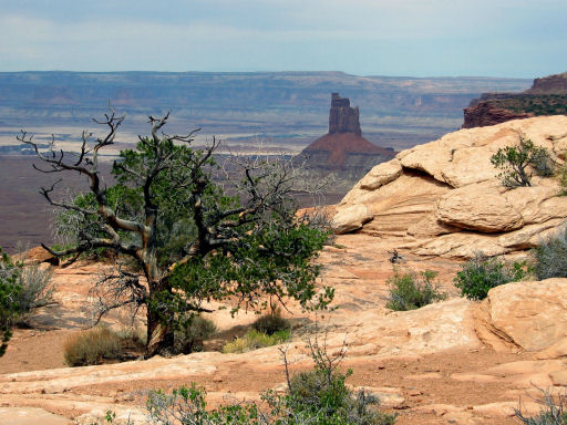 View from the Murphy Point Trailhead
