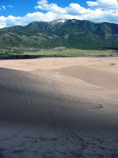 Footprint trails in the Dunes