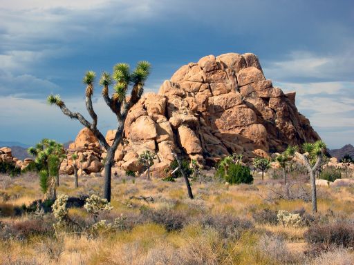 Rock Formations