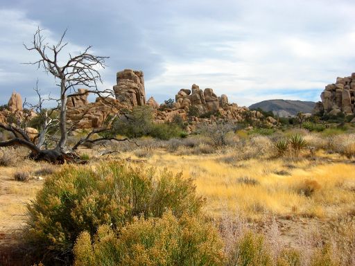 Hidden Valley
