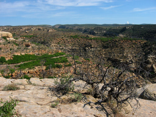 View from above Step House