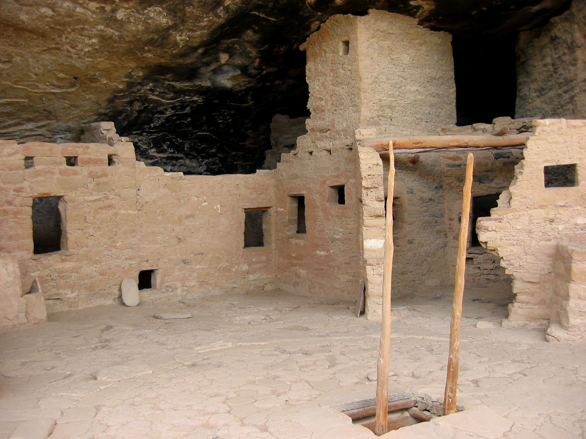 Spruce Tree House