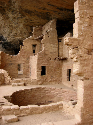 Spruce Tree House