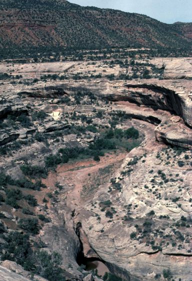 Canyon under Kachina Bridge