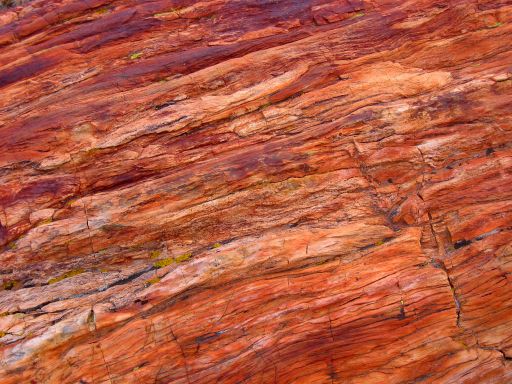 Petrified Wood Grain