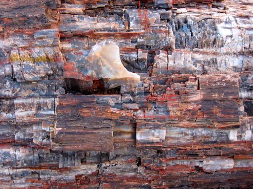 Crystalized Wood Grain