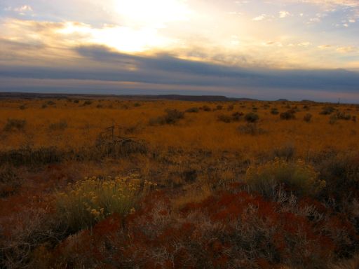 Setting Sun