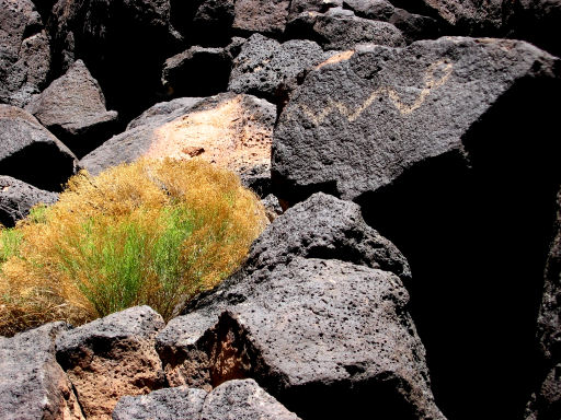 Snake Petroglyph
