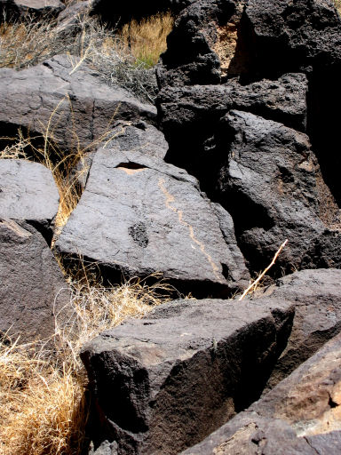 Snake Petroglyph