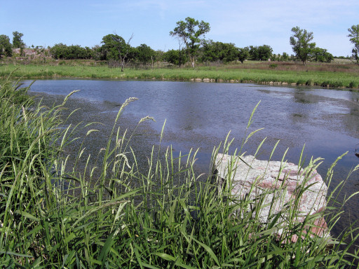 Pipestone Creek