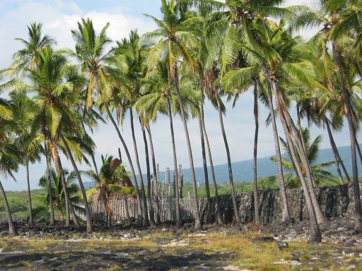 The Hale o Keawe and the Great Wall