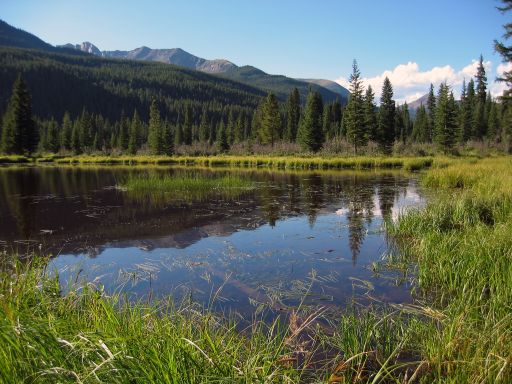 Beaver Ponds