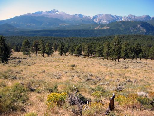 Longs Peak over Moraine Park