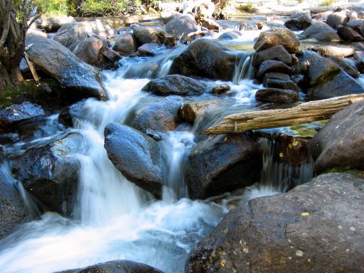 Creek above Alberta Falls