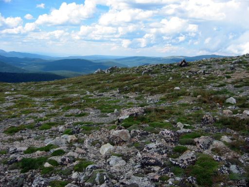 Tundra along Alpine Ridge Trail
