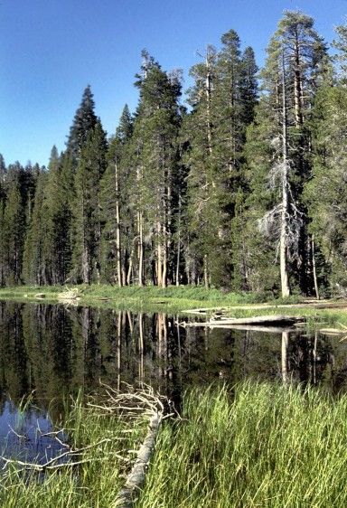 Siesta Lake