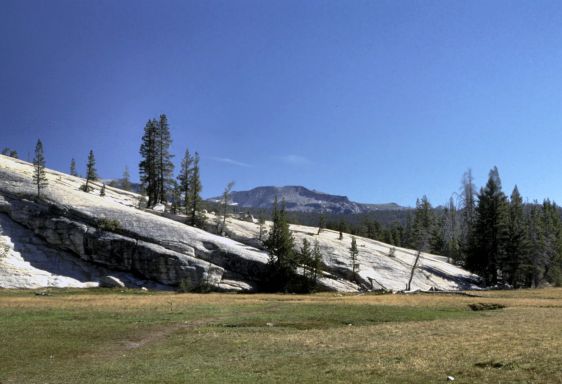 Tuolumne Meadows