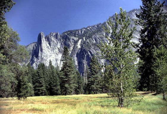 Yosemite Valley Floor