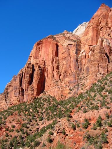 Cliffs of Zion Canyon