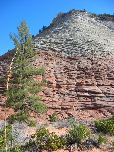 Checkerboard Mesa