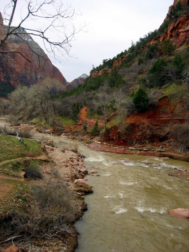 North Fork of Virgin River