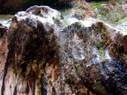 Below Weeping Rock