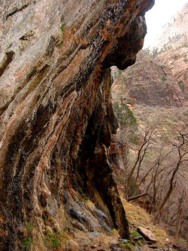 Weeping Rock